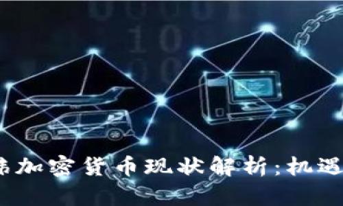2023年王玮加密货币现状解析：机遇与挑战并存