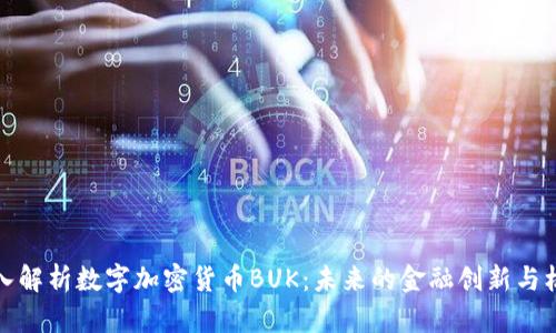 深入解析数字加密货币BUK：未来的金融创新与机遇