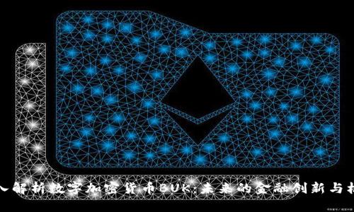 深入解析数字加密货币BUK：未来的金融创新与机遇