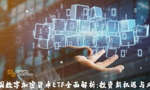 
美国数字加密货币ETF全面解析：投资新机遇与风险