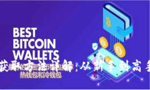虚拟币的获取方法详解：从新手到高手的全指南