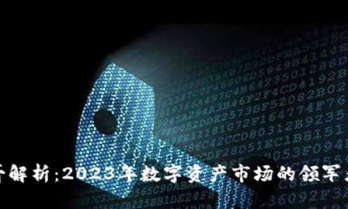 加密货币一哥解析：2023年数字资产市场的领军者与未来趋势