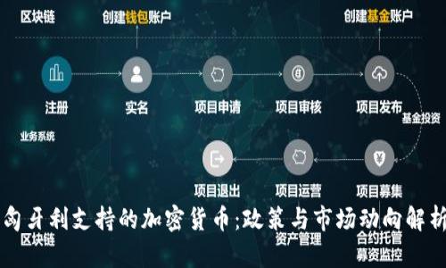 匈牙利支持的加密货币：政策与市场动向解析