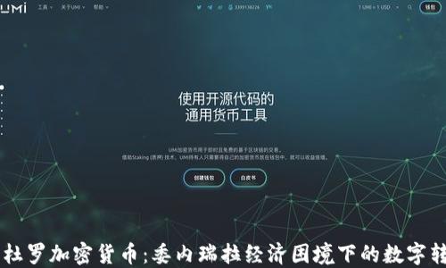 
马杜罗加密货币：委内瑞拉经济困境下的数字转型