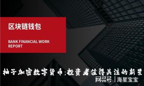 柚子加密数字货币：投资者值得关注的新星