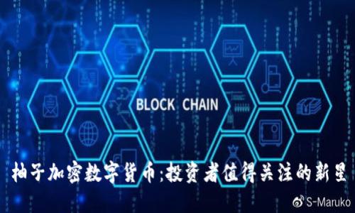 柚子加密数字货币：投资者值得关注的新星