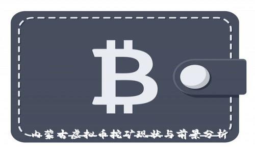 内蒙古虚拟币挖矿现状与前景分析