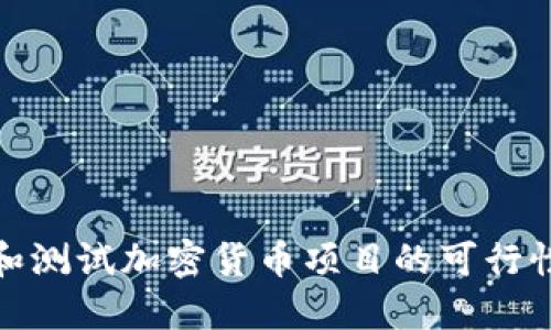 如何评估和测试加密货币项目的可行性与安全性