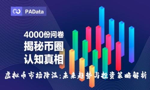 虚拟币市场降温：未来趋势与投资策略解析