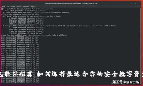 虚拟币钱包软件推荐：如何选择最适合你的安全数字资产管理工具
