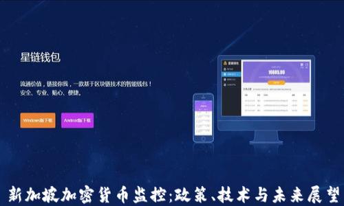 
新加坡加密货币监控：政策、技术与未来展望
