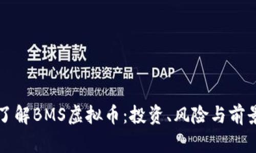 深入了解BMS虚拟币：投资、风险与前景分析