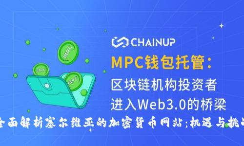 全面解析塞尔维亚的加密货币网站：机遇与挑战