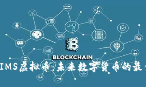 探索AIMS虚拟币：未来数字货币的最佳选择