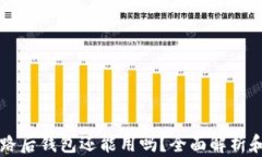 虚拟币跑路后钱包还能用吗？全面解析和解决方