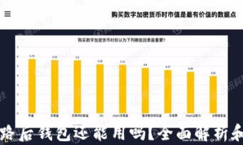 
虚拟币跑路后钱包还能用吗？全面解析和解决方案