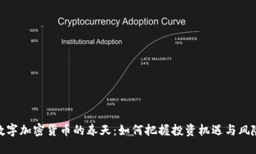 数字加密货币的春天：如何把握投资机遇与风险