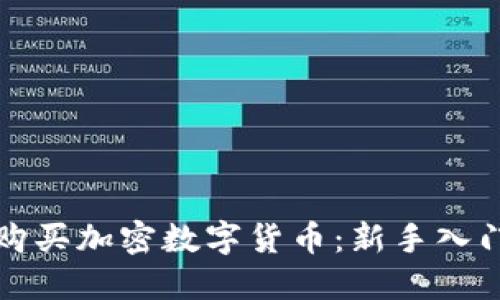 如何购买加密数字货币:新手入门指南