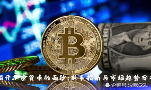 揭开加密货币的面纱：新手指南与市场趋势分析