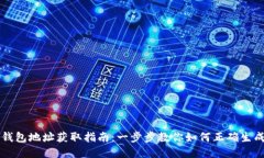 虚拟币钱包地址获取指南：一步步教你如何正确