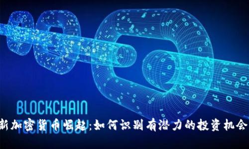 新加密货币崛起：如何识别有潜力的投资机会？