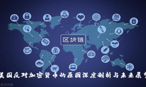 美国反对加密货币的原因深度剖析与未来展望