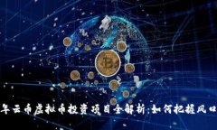 2023年云币虚拟币投资项目全解析：如何把握风口