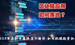 2023年虚拟币暴涨案例解析：如何把握投资机会