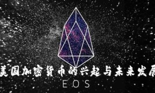 美国加密货币的兴起与未来发展