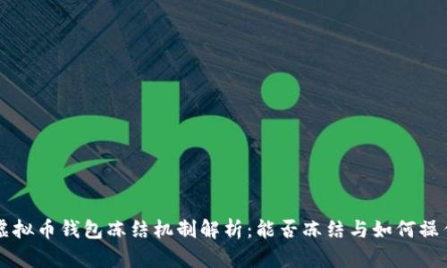 虚拟币钱包冻结机制解析：能否冻结与如何操作