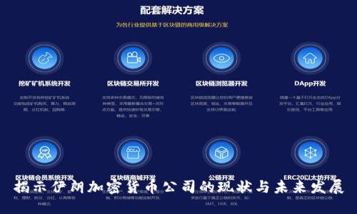 揭示伊朗加密货币公司的现状与未来发展