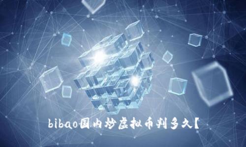 bibao国内炒虚拟币判多久？