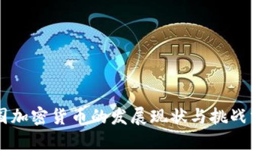 中国加密货币的发展现状与挑战分析