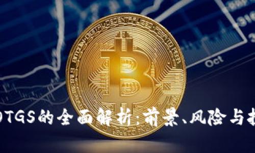 虚拟币OTGS的全面解析：前景、风险与投资策略