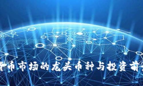虚拟货币市场的龙头币种与投资前景解析