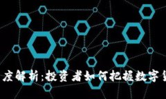SET虚拟币深度解析：投资者如何把握数字货币发