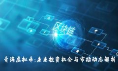 青海虚拟币：未来投资机会与市场动态解析