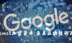 深入探索Cosmos加密货币：未来区块链的关键解决