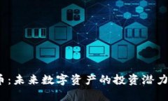 DHAC虚拟币：未来数字资产的投资潜力与风险分析