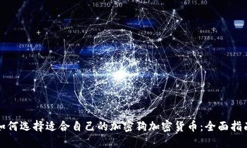 如何选择适合自己的加密狗加密货币：全面指南