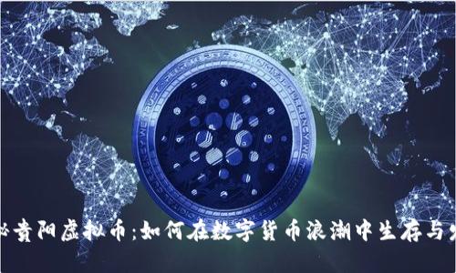 探秘贵阳虚拟币：如何在数字货币浪潮中生存与发展