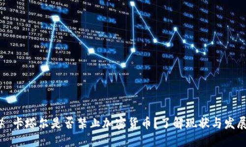 ### 卡塔尔是否禁止加密货币？了解现状与发展趋势