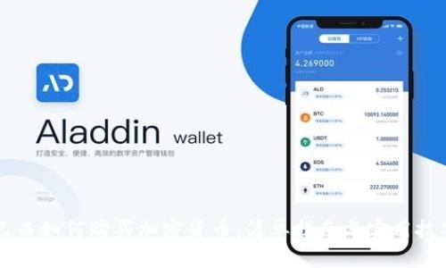 巴西如何购买加密货币：简单指南与实用技巧