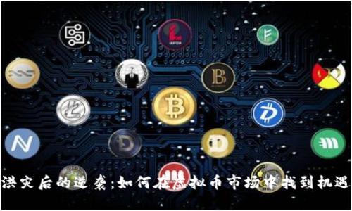洪灾后的逆袭：如何在虚拟币市场中找到机遇