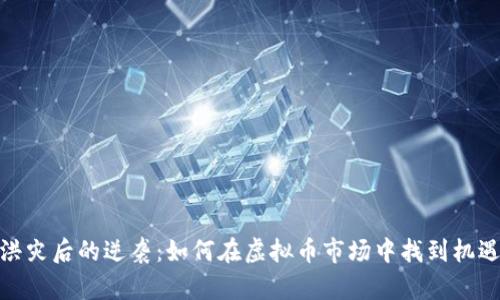 洪灾后的逆袭：如何在虚拟币市场中找到机遇