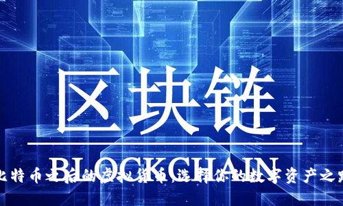 比特币之后的虚拟货币：选择你的数字资产之路
