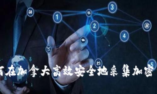 如何在加拿大高效安全地采集加密货币