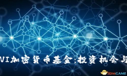 2023年FVI加密货币基金：投资机会与风险解析