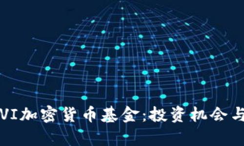 2023年FVI加密货币基金：投资机会与风险解析
