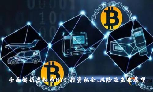 全面解析虚拟币HYC：投资机会、风险及未来展望